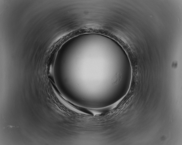 X0000098181112200804241215