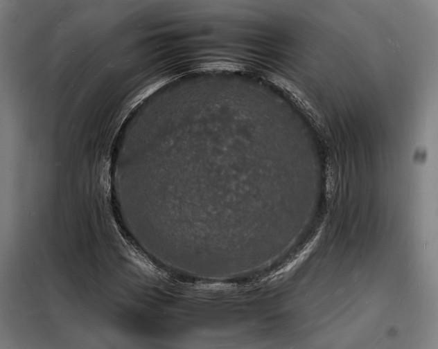 X0000098181113200804241215