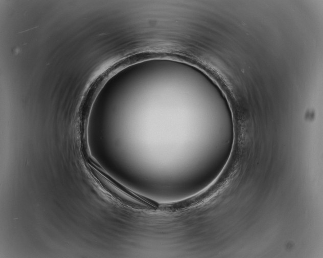 X0000098181114200804241215