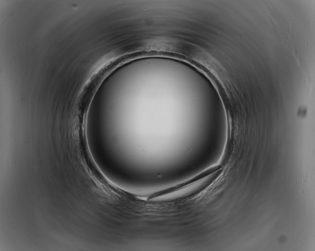 X0000098181115200804241215