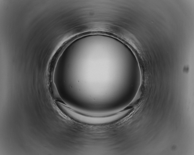 X0000098181116200804241215