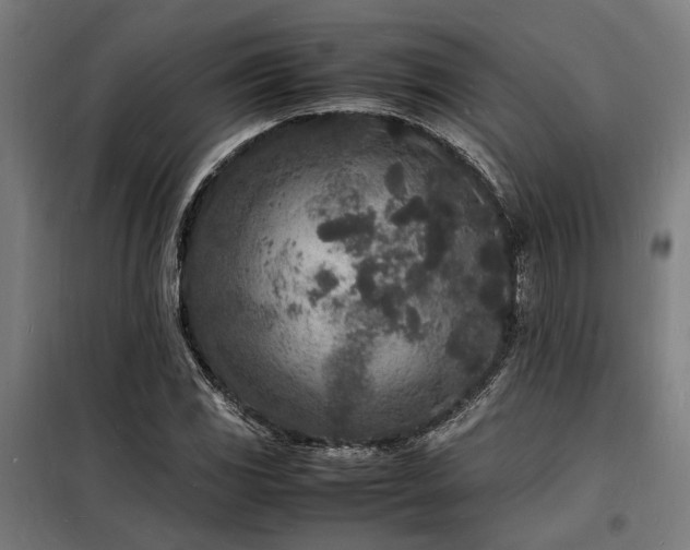 X0000098181117200804241215