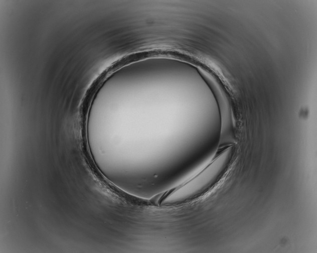 X0000098181118200804241215