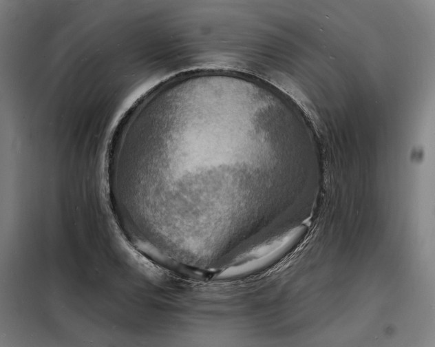 X0000098181120200804241215