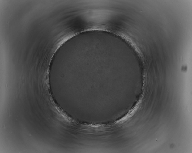 X0000098181121200804241215