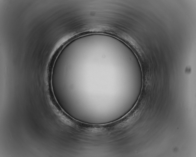 X0000098181122200804241215