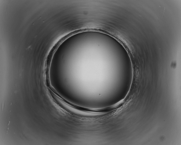 X0000098181124200804241215