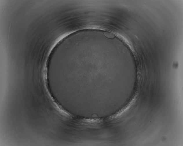 X0000098181125200804241215