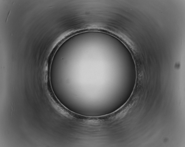 X0000098181126200804241215