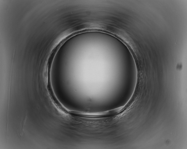 X0000098181127200804241215