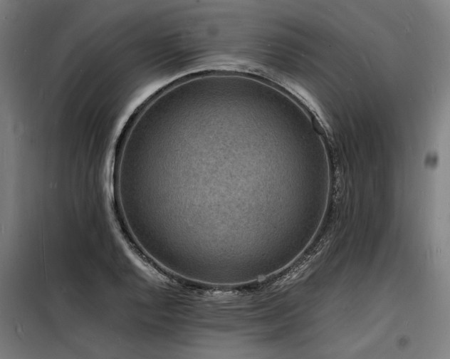 X0000098181128200804241215