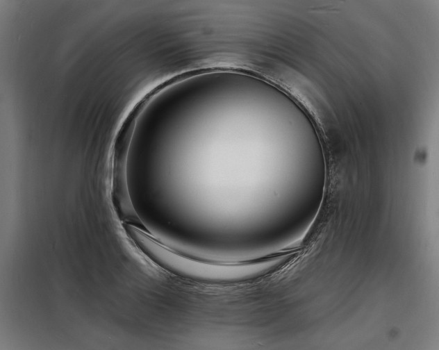 X0000098181132200804241215