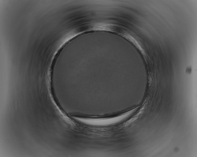 X0000098181133200804241215