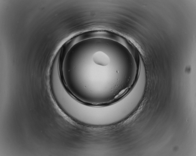 X0000098181134200804241215