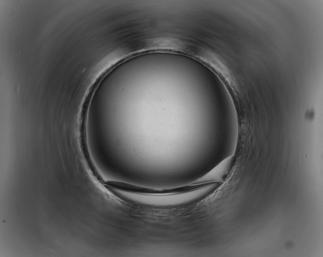 X0000098181135200804241215