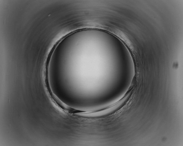 X0000098181136200804241215