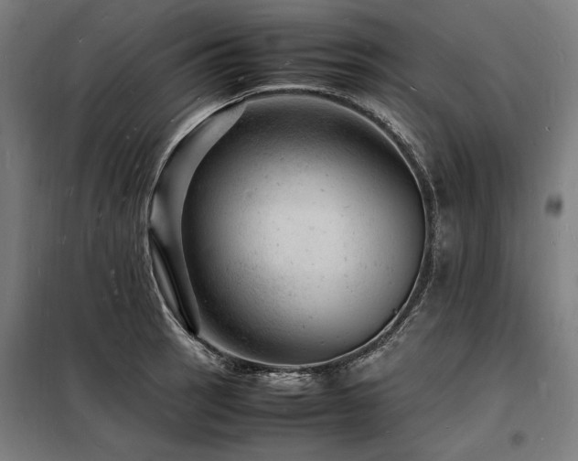 X0000098181137200804241215