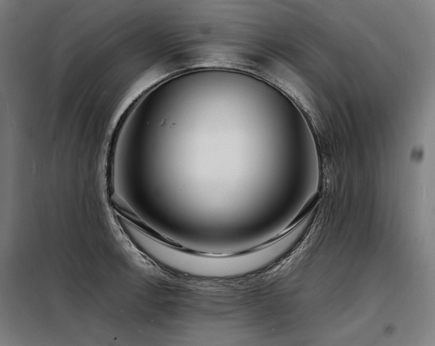 X0000098181138200804241215