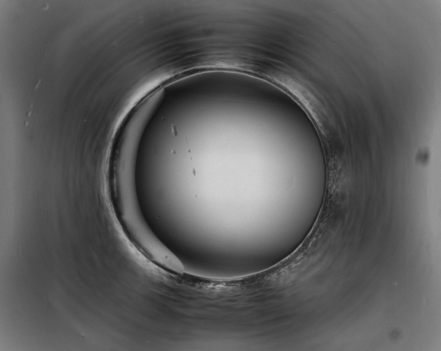 X0000098181139200804241215