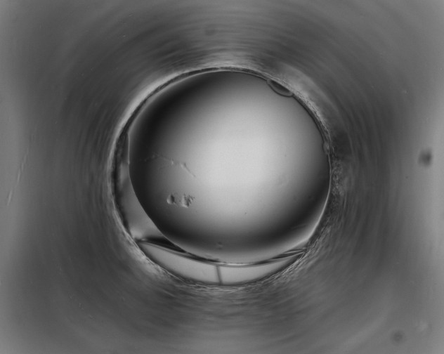 X0000098181140200804241215