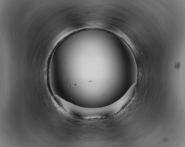 X0000098181143200804241215