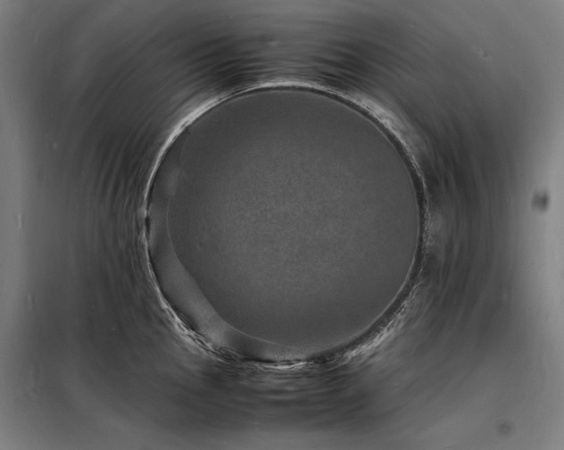 X0000098181145200804241215