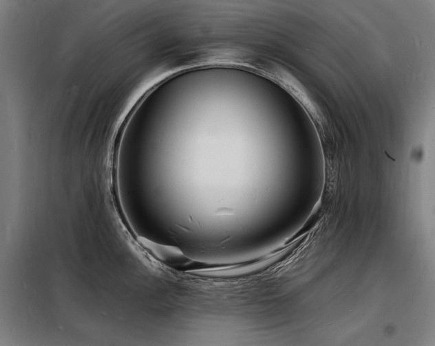 X0000098181148200804241215
