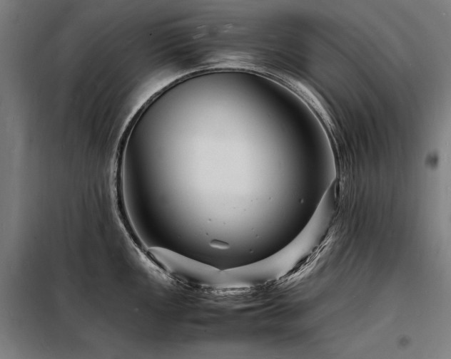 X0000098181149200804241216