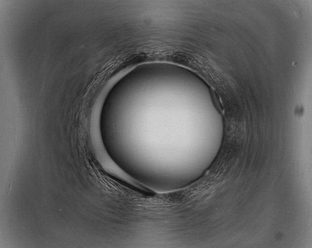 X0000098181153200804241215