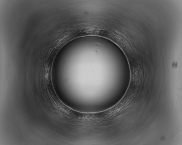 X0000098181154200804241215