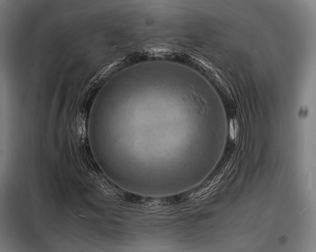 X0000098181155200804241215