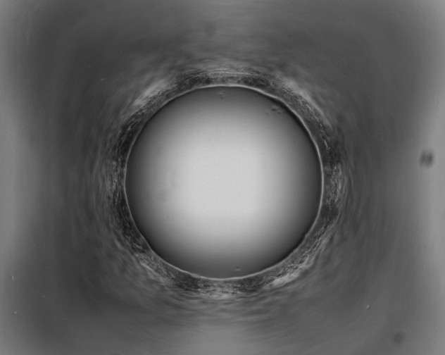 X0000098181157200804241215