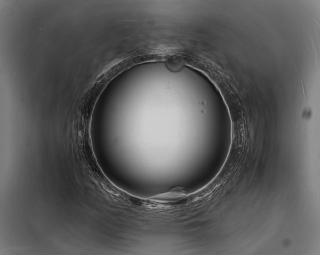 X0000098181158200804241215