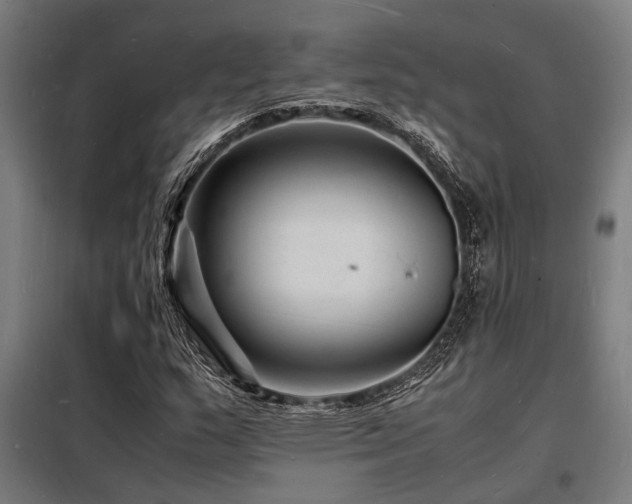X0000098181159200804241215