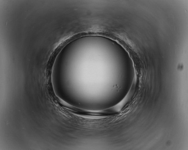 X0000098181160200804241215