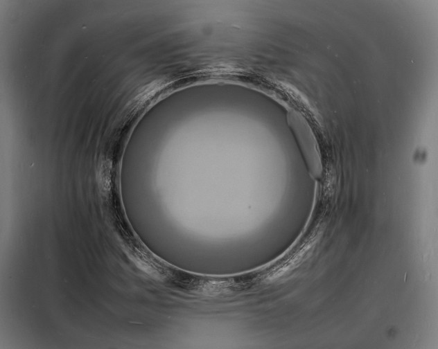 X0000098181161200804241215