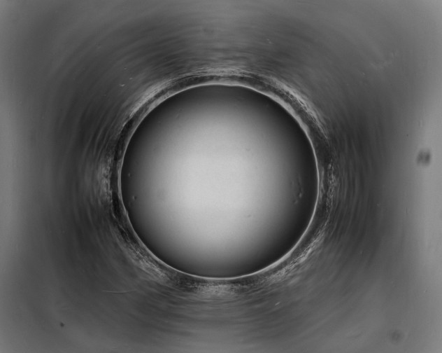 X0000098181162200804241215
