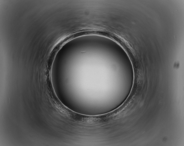 X0000098181163200804241215