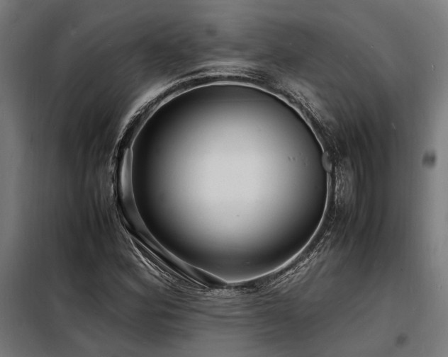 X0000098181164200804241215