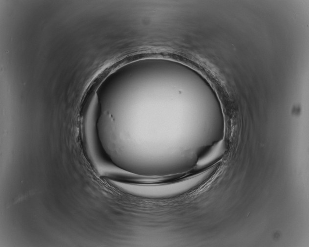 X0000098181165200804241215