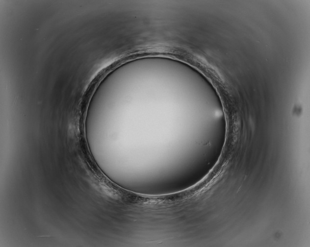 X0000098181166200804241215