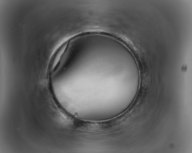 X0000098181167200804241215