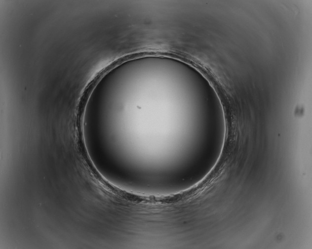 X0000098181168200804241215