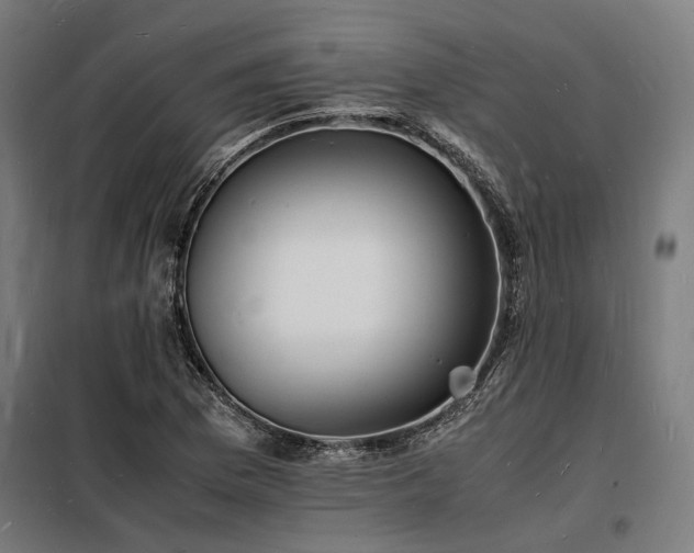 X0000098181169200804241215