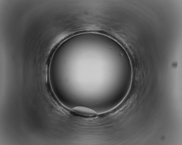 X0000098181171200804241215