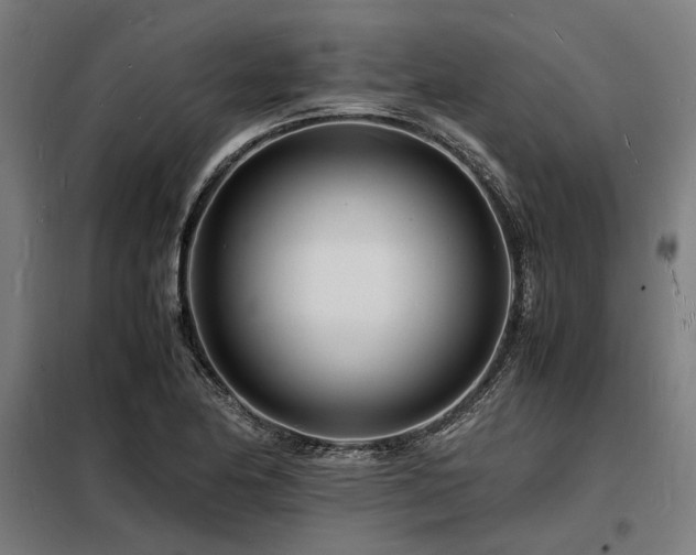 X0000098181174200804241215