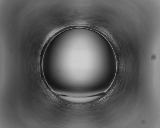X0000098181176200804241215