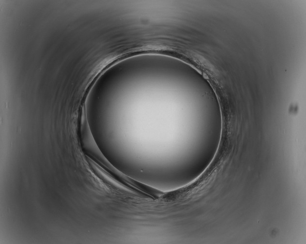 X0000098181177200804241215
