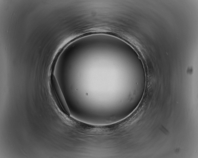 X0000098181179200804241215