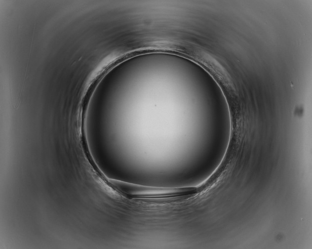 X0000098181180200804241214